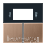 F40 Room controller Cover kit, metal, PVD-coated, LS range, brushed bronze