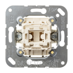 1G/1W Switch Insert