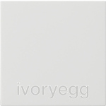 System 55 Rocker, 1-gang blank, pure white glossy