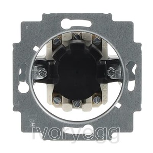Blind switch insert Key 2-pole push button 10 A