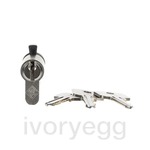 DIN Profile Cylindrical Lock Cylinder with Simultaneous Locking