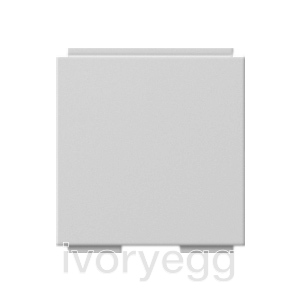 Cover plate with 30 angled socket outlet and inscription field for Modular Jack support ring, grey matt