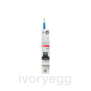 DSE201 C6 A30 RCBO 1P+N 30mA 6kA