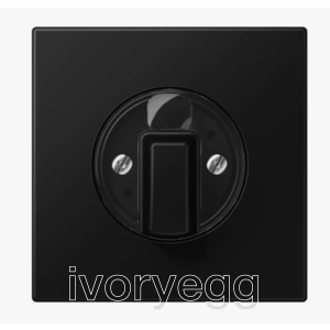 LS Range Centre plate with knob for rotary switch, matt graphite black