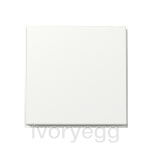 Single gang rocker -  TX_44 (WP FM) pure white
