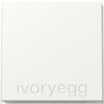 Single gang rocker -  TX_44 (WP FM) pure white