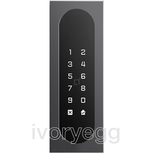 Keypad/Badgereader: 1 relay, Optional 2 security relays, Wiegand and Cloud