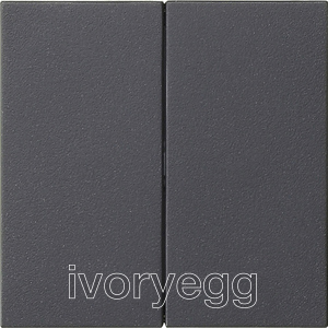 System 3000 rocker, blank, System 55, 2-gang, anthracite