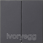 System 3000 rocker, blank, System 55, 2-gang, anthracite