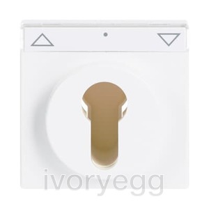 Cover plate with legend Symbol "arrows" or "0 - 1" for Venetian blind, Key studio white - Platform 63