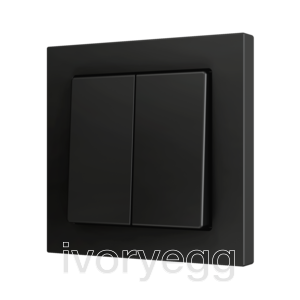 ZS55. Cover for Double KNX Soft push button 55x55 mm. Tilt up&down - Anthracite - Custom. Minimum 100 units per design