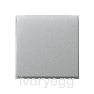 Single gang rocker - TX 44  (IP 44) Colour Aluminium