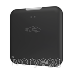 IWAC OUT In Wall Access Controller, Outdoors, Anthracite without doorbell