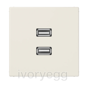 Multimedia terminals 2 x USB 2.0, LS range, ivory