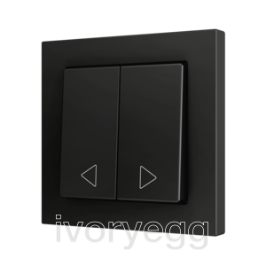 ZS55. Double Soft push button for 2 binary inputs 55x55 mm – Anthracite - Custom. Minimum 100 units per design
