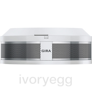 Dual Q smoke alarm device