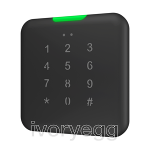 IWAC OUT In Wall Access Controller, Outdoors, Anthracite with keypad
