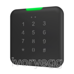IWAC OUT In Wall Access Controller, Outdoors, Anthracite with keypad