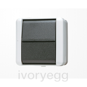 1-gang switch 10 AX / 250 V ~