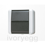 1-gang switch 10 AX / 250 V ~